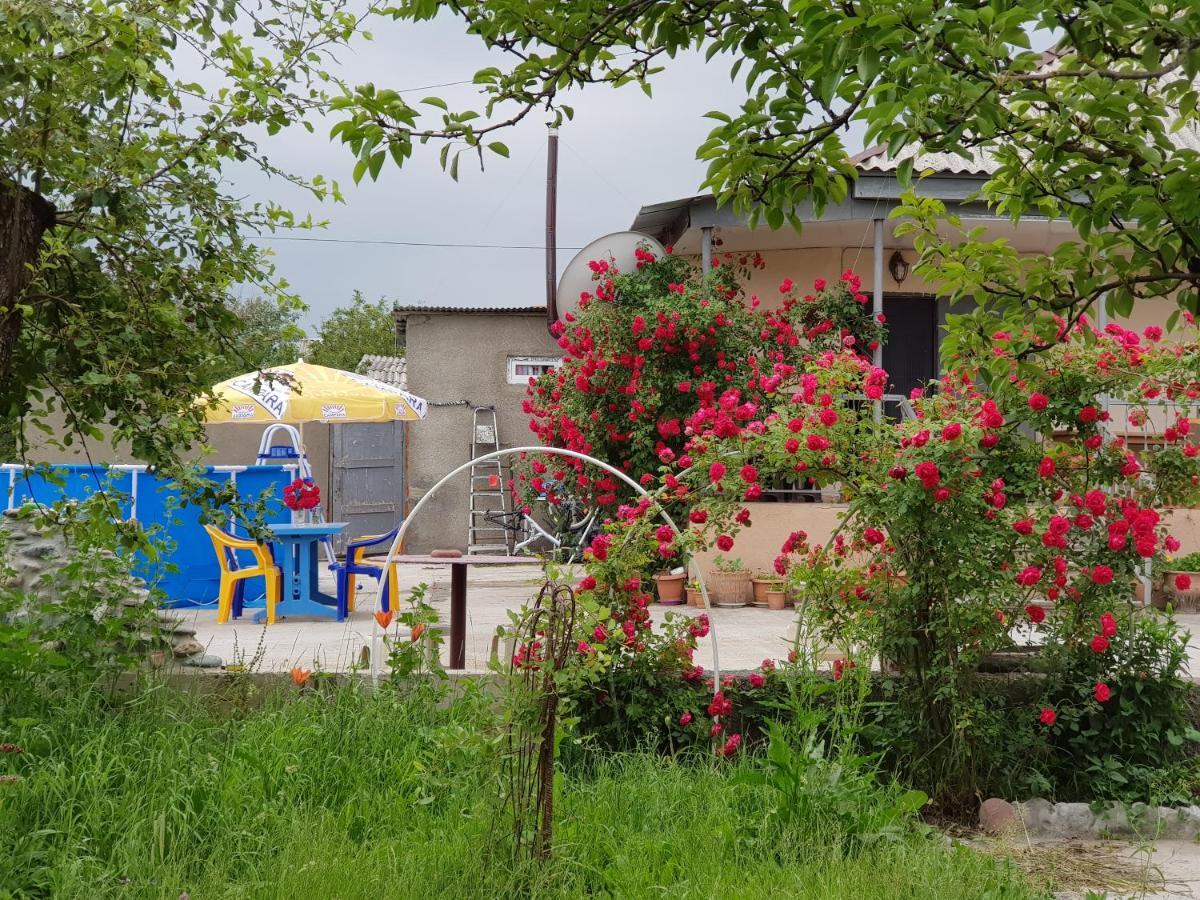 Family Hotel Maia - Cемейная Гостиница Майя Dashbashi Esterno foto