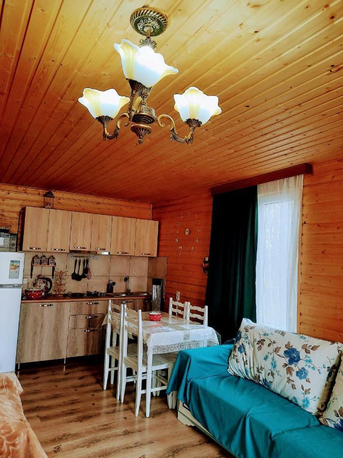 Family Hotel Maia - Cемейная Гостиница Майя Dashbashi Esterno foto