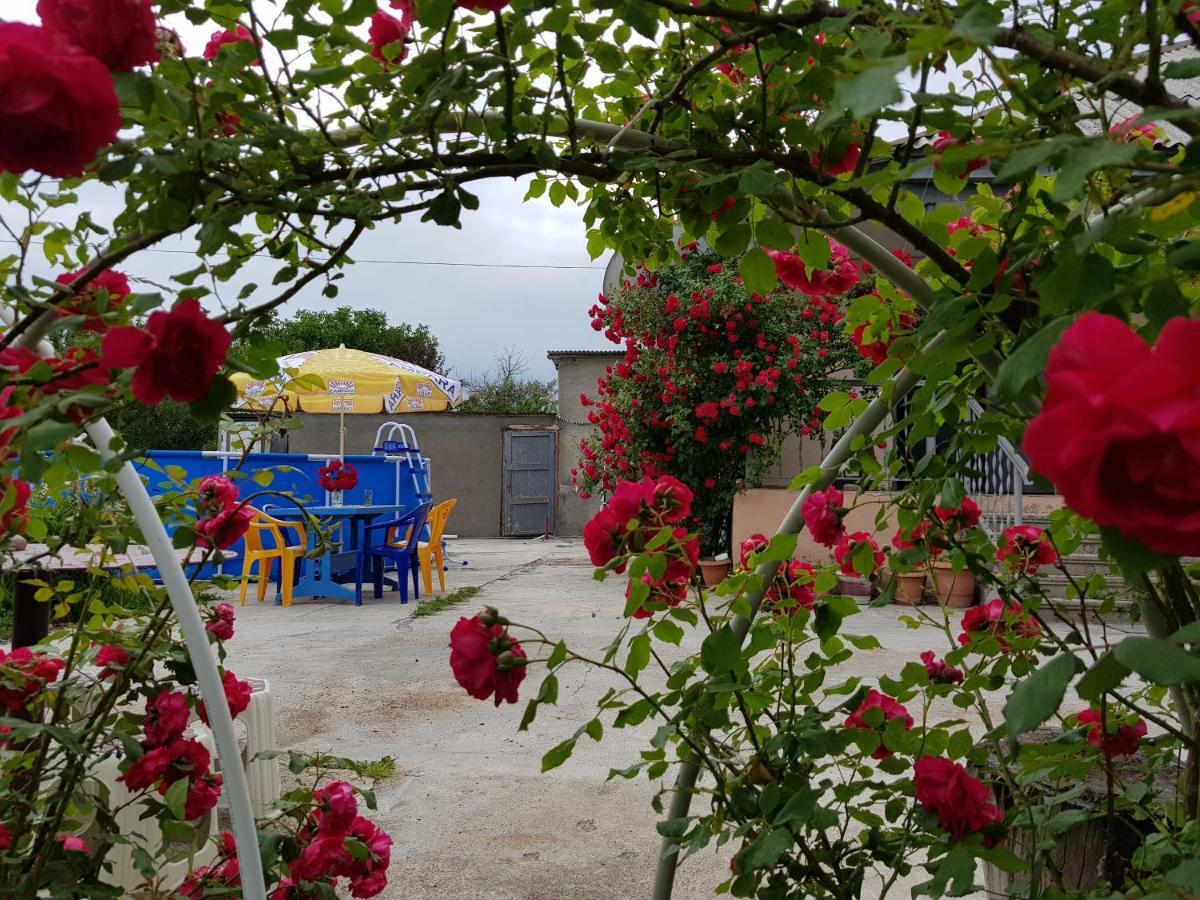Family Hotel Maia - Cемейная Гостиница Майя Dashbashi Esterno foto